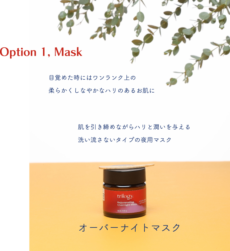 Option 1, MASK 目覚めたときには柔らかくしなやかなハリのあるお肌へ　肌を引き締めながらハリと潤いを与える洗い流さないタイプの夜用マスク